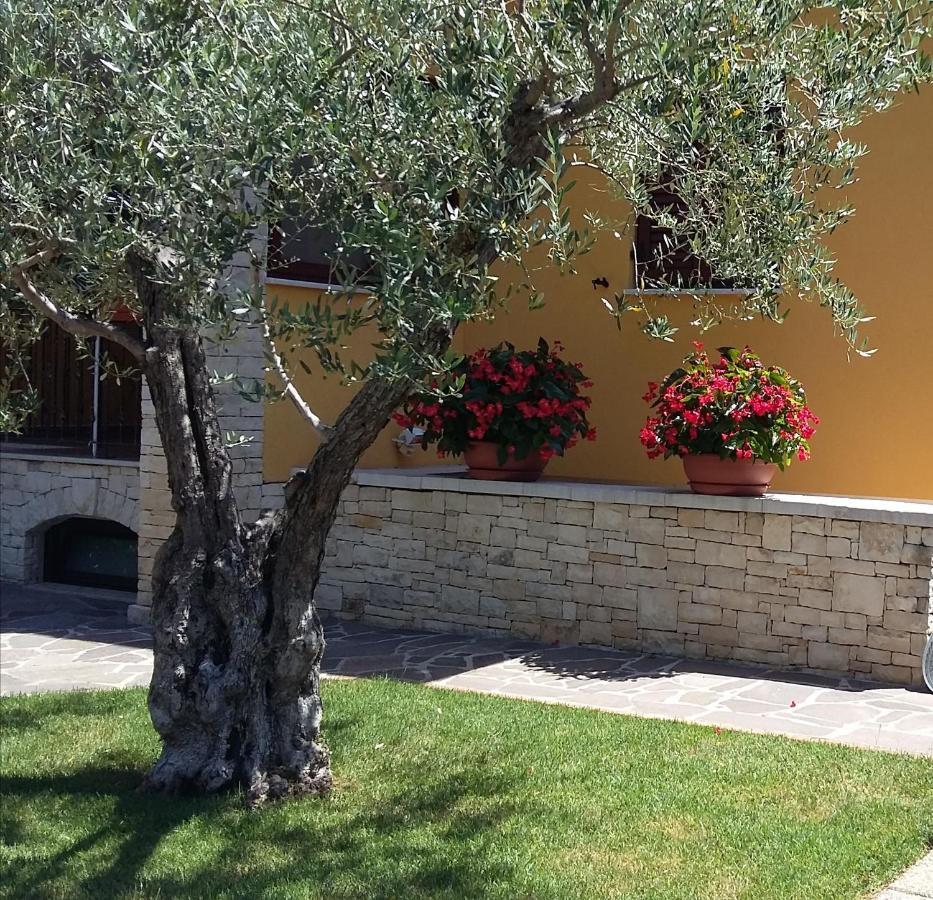 Studio Apartments Pinia-Marina Poreč Eksteriør bilde
