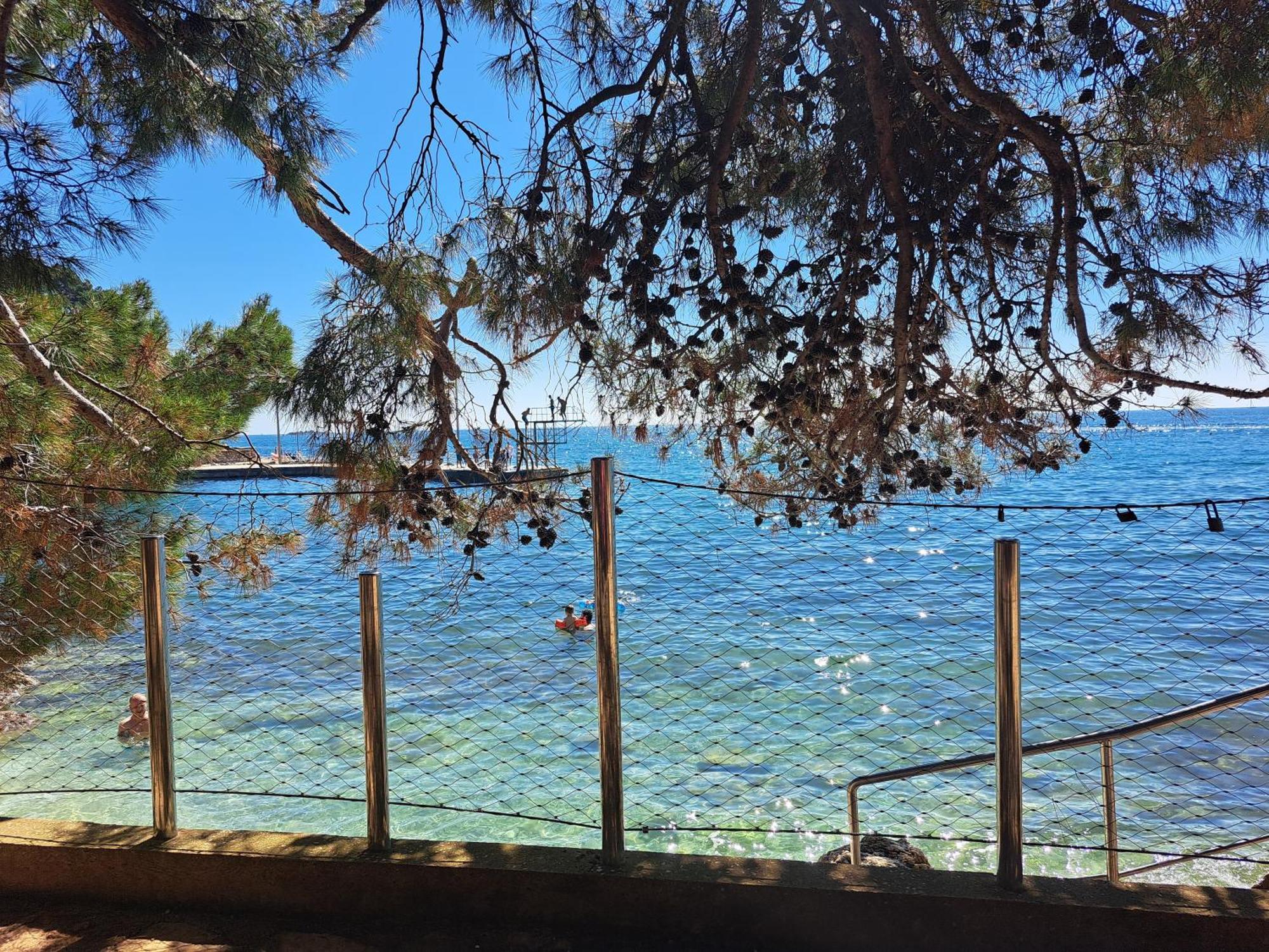 Studio Apartments Pinia-Marina Poreč Rom bilde